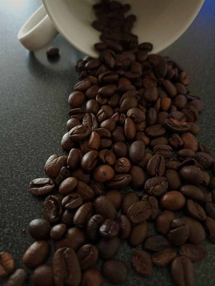 Photograph by Viktoryia М