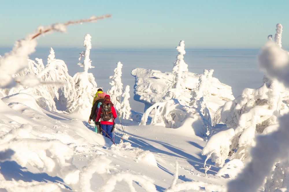 Photograph by Алексей Ширманов