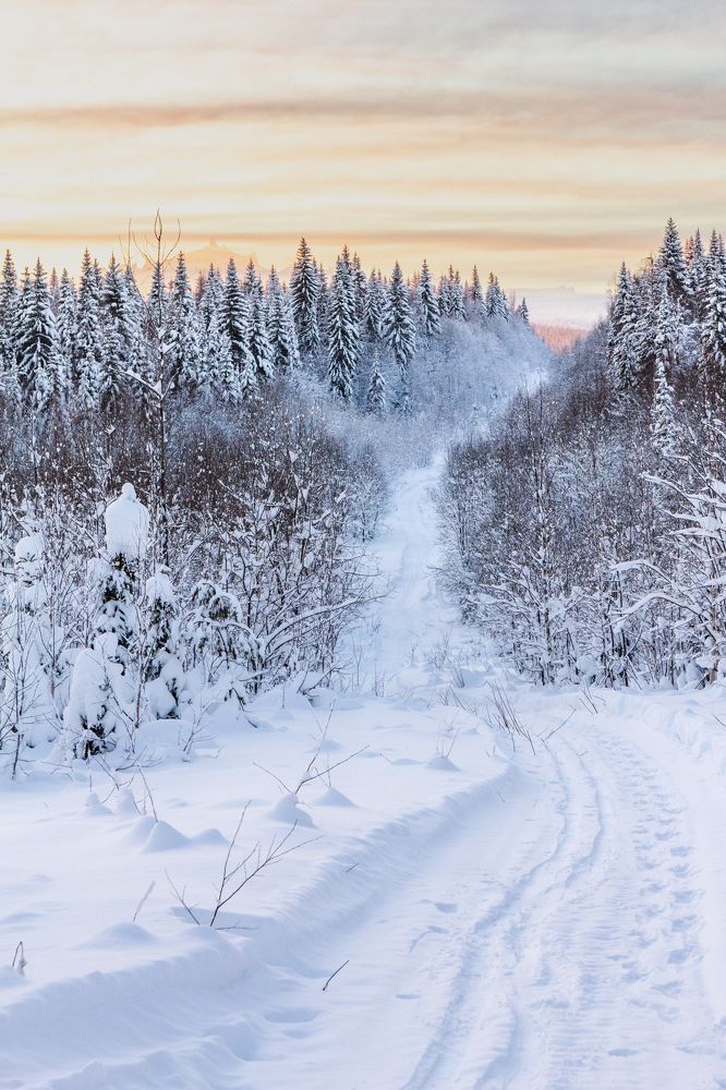 Photograph by Алексей Ширманов