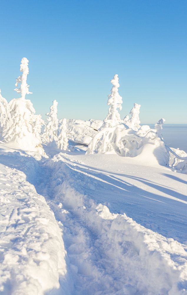 Photograph by Алексей Ширманов