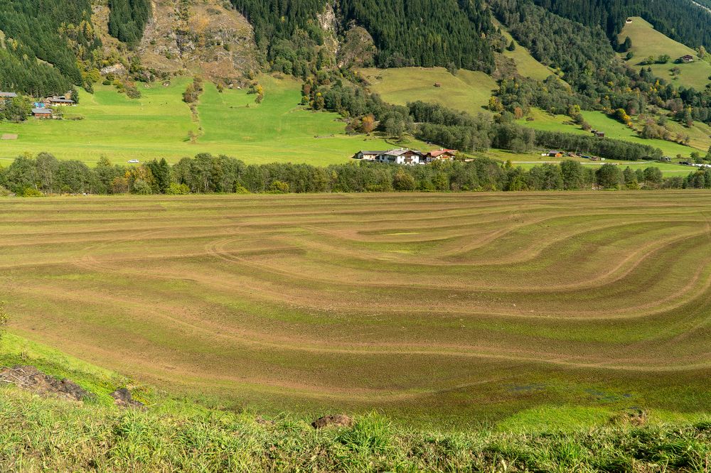 Photograph by Ирина Рябоконь