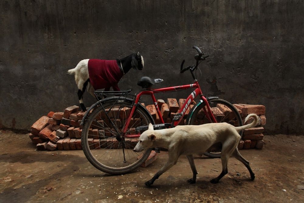 Photograph by Борис Астафьев