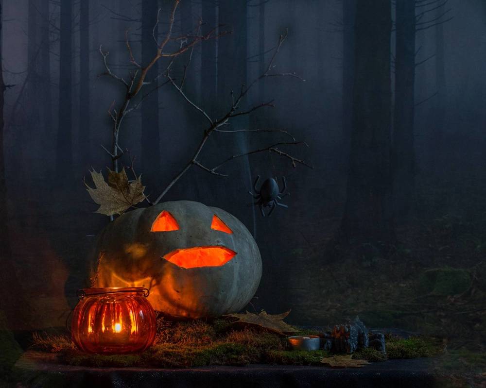 Photograph by Людмила Прибылова