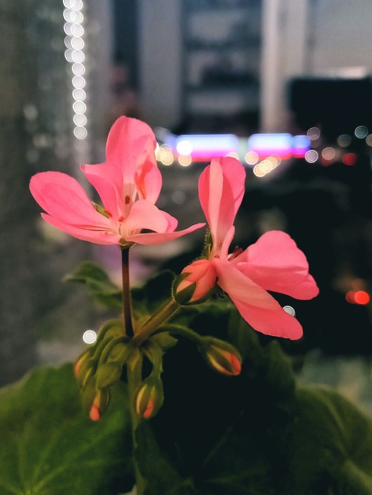 Photograph by Татьяна Добродомова