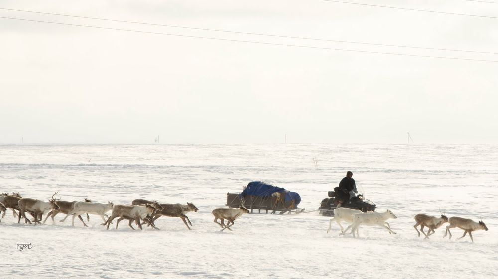 Фотография автора Мария Черница
