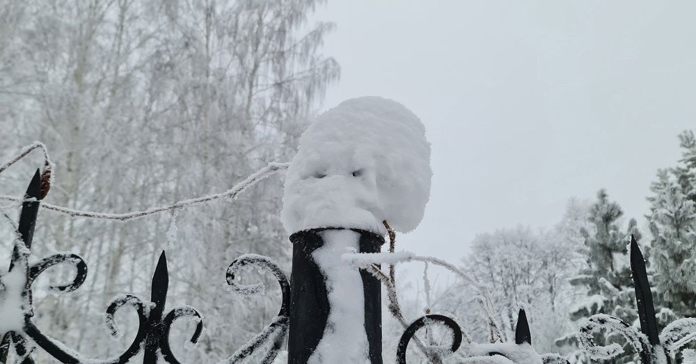 Photograph by Natasha Kim