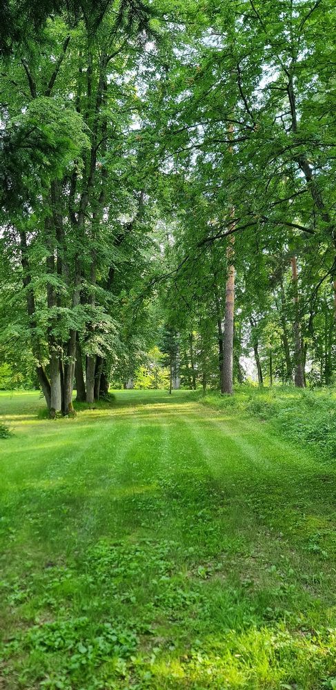 Photograph by Natasha Kim