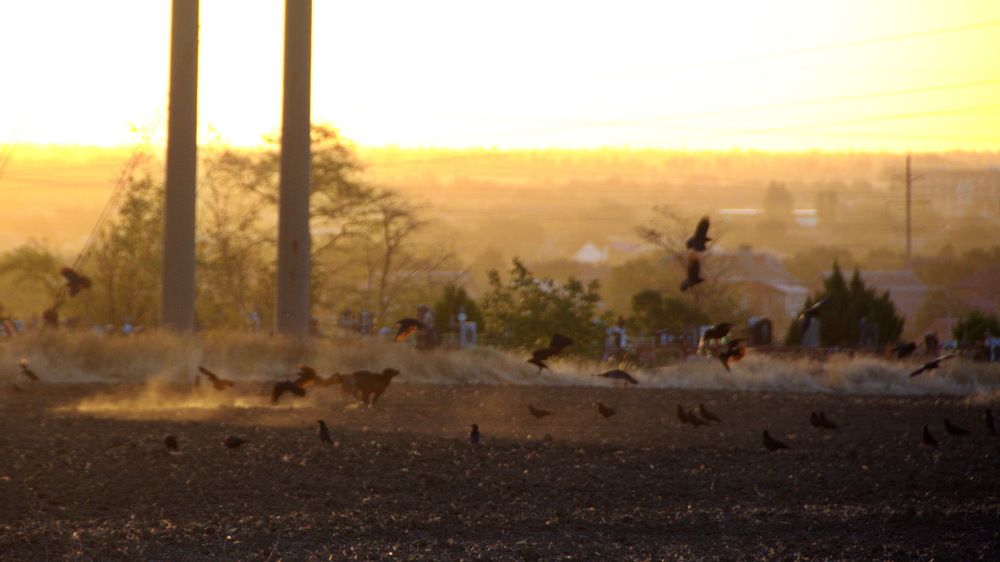 Фотография автора Мария Черница