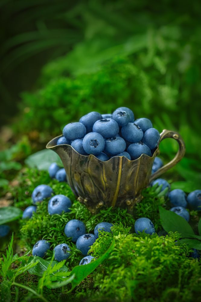 Photograph by Arina Bogachyova