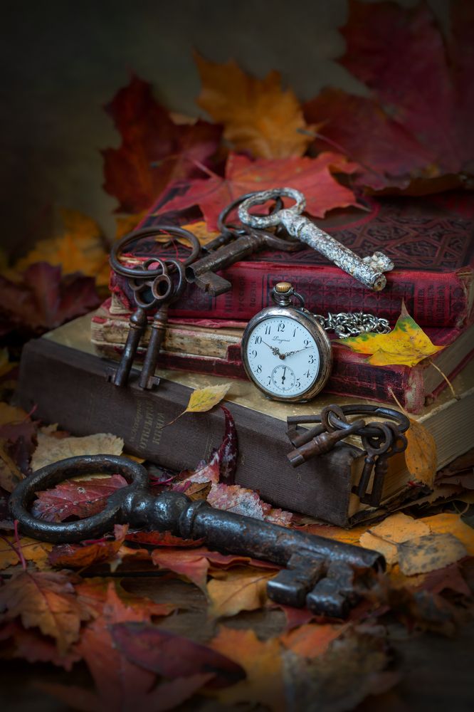 Photograph by Arina Bogachyova