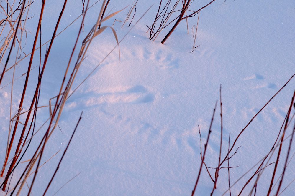 Фотография автора Наталья Липовская