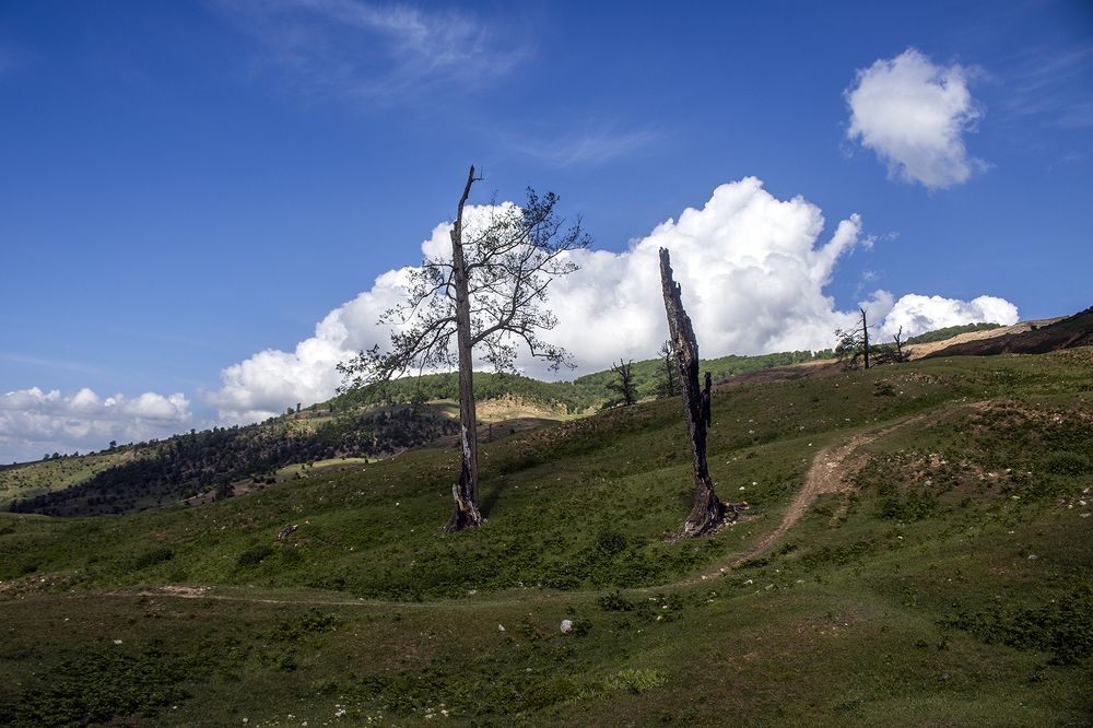 Photograph by Reza Zanganeh