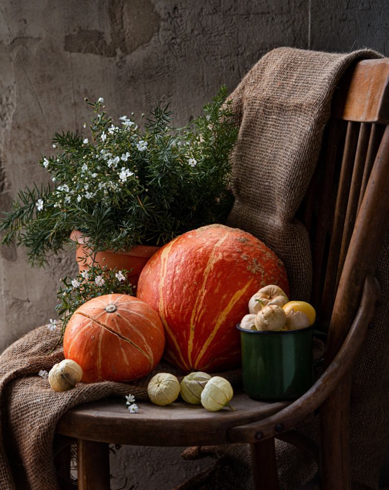 Photograph by Елена Плотникова