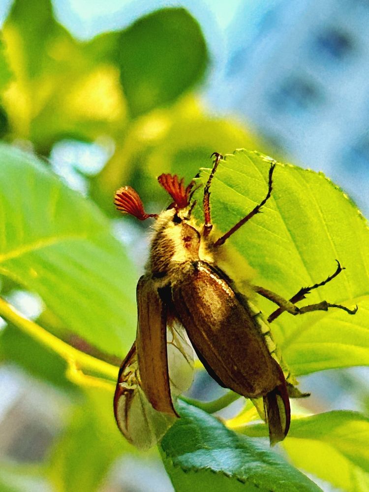Фотография автора Ирина Якущенко