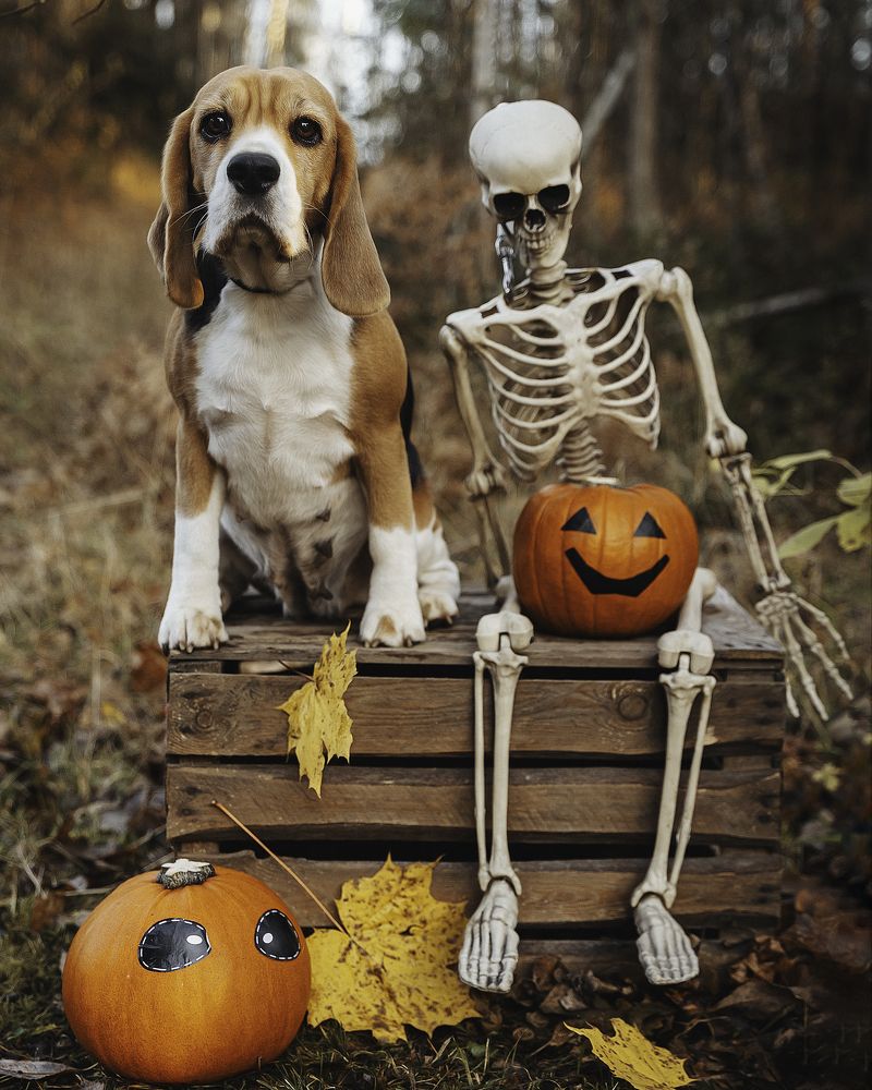 Photograph by Anna Sindikayeva