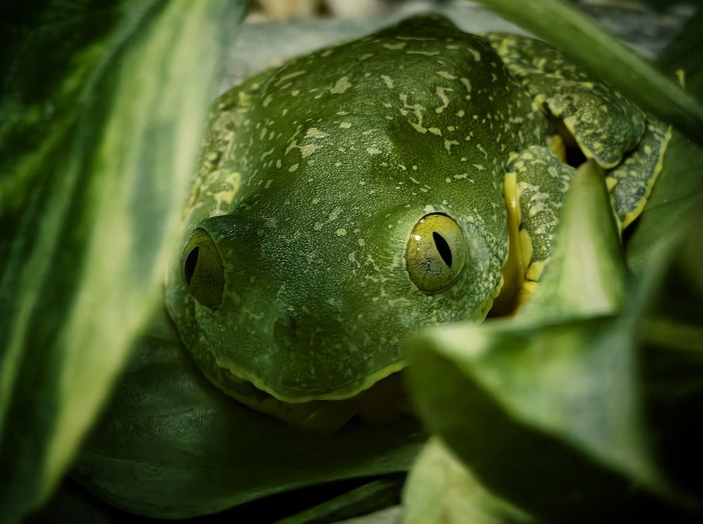 Photograph by Михаил Саидов