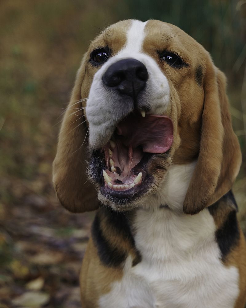 Photograph by Anna Sindikayeva