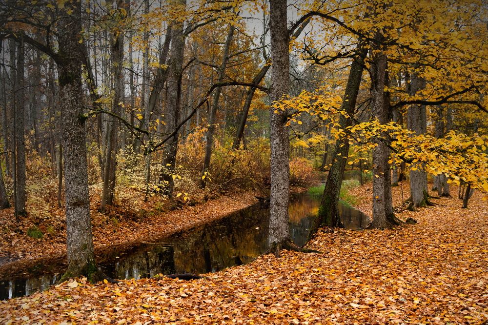 Photograph by Galina