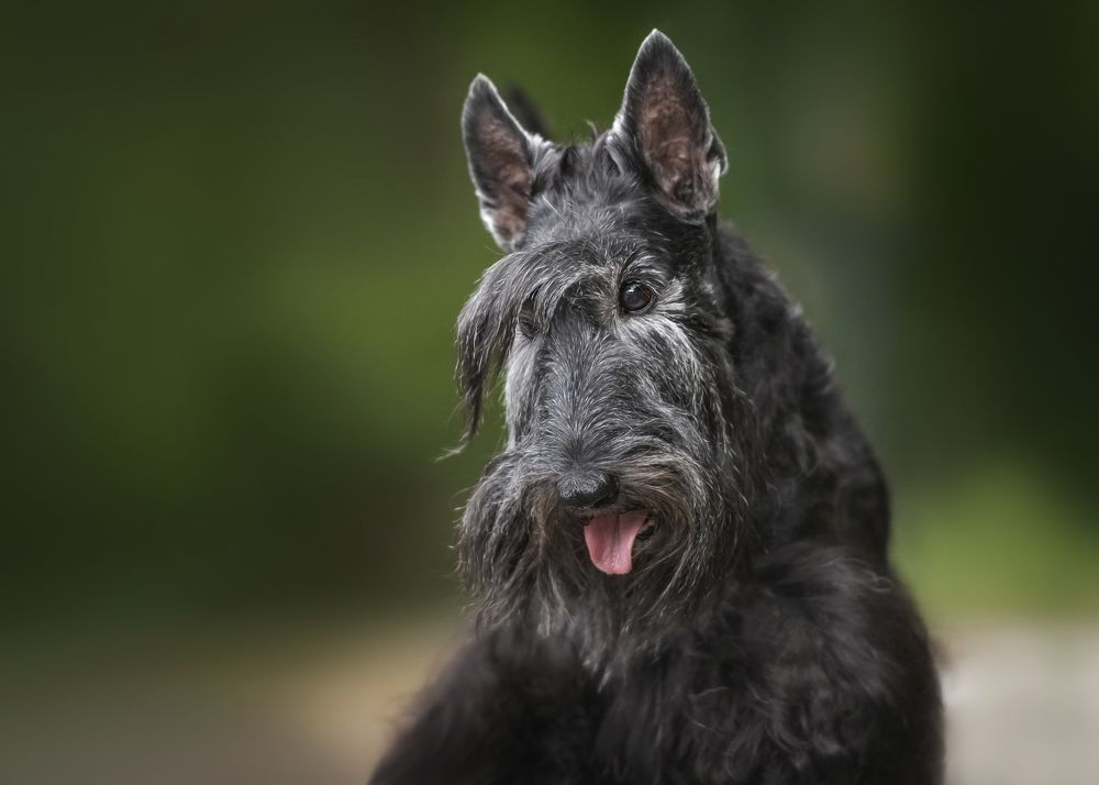 Photograph by Наталья Орел