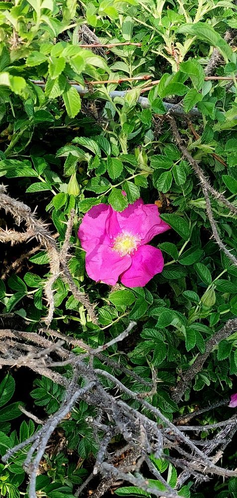 Photograph by Мария