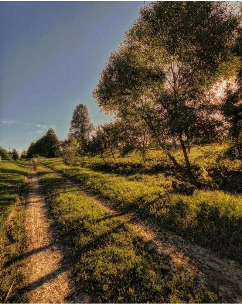 Photograph by Наталья