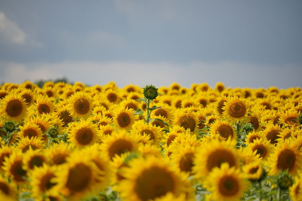 Photograph by Высотских Владимир