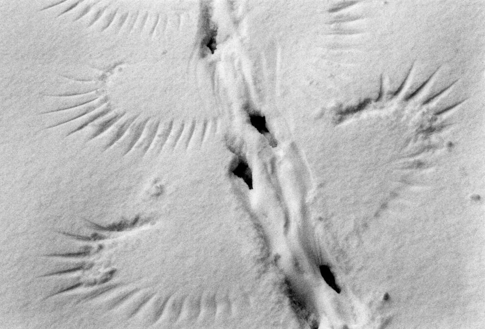 Photograph by Олег Банковский