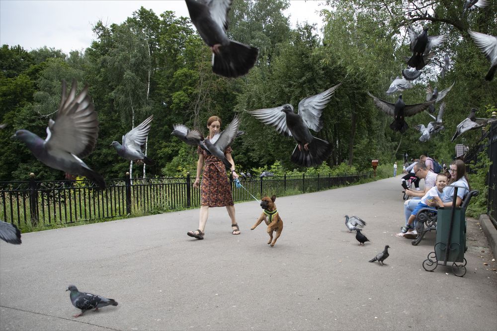 Photograph by Максим Мураков