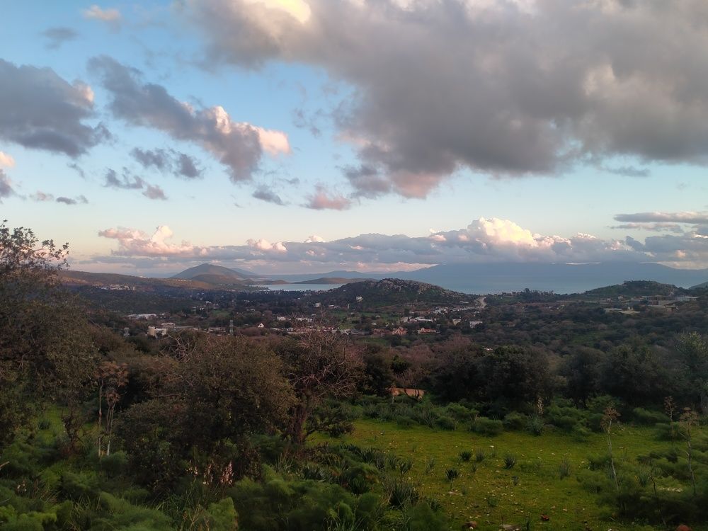 Photo #11263683