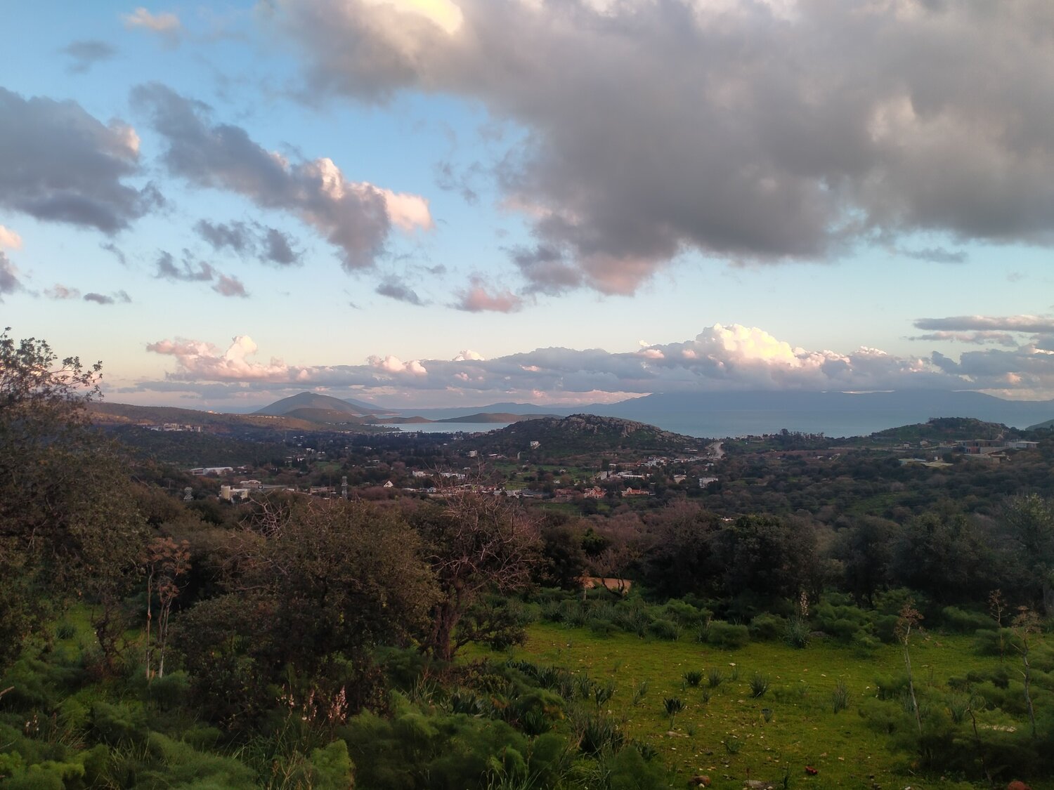 Photo #11263683