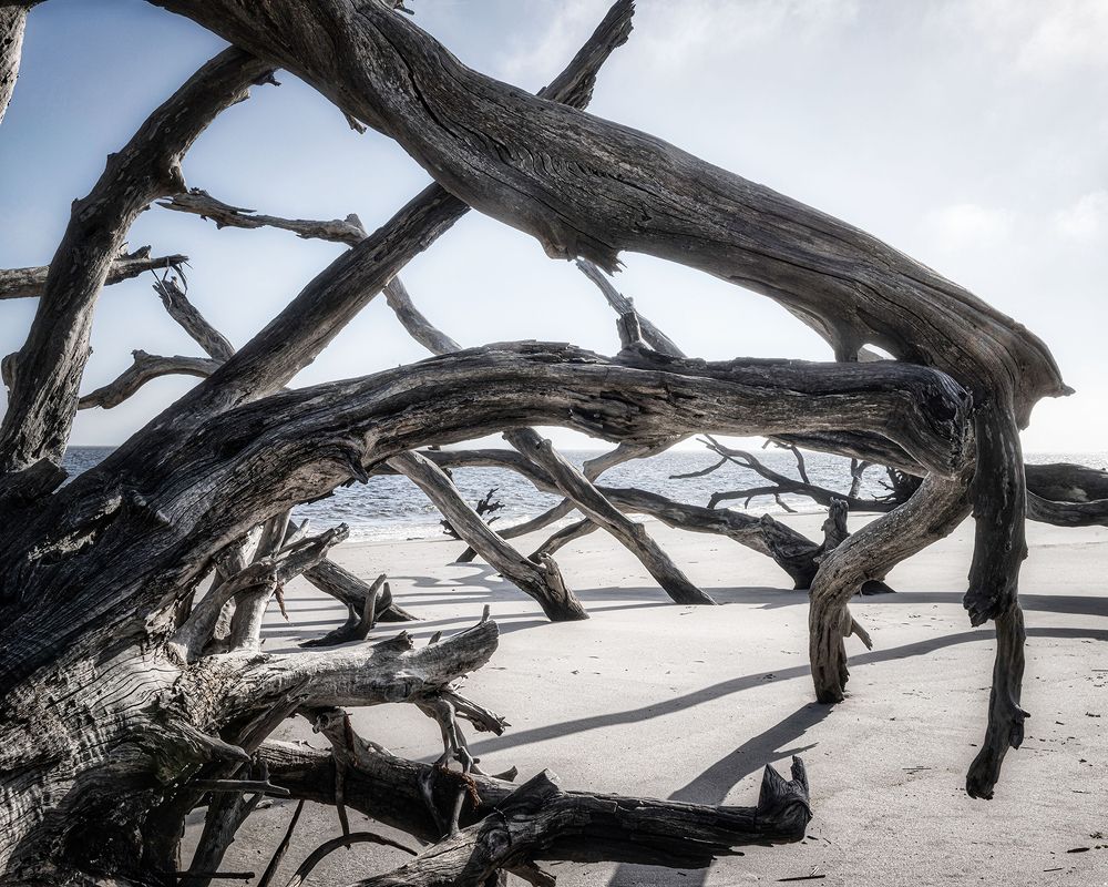 Фотография автора Ray Asiala