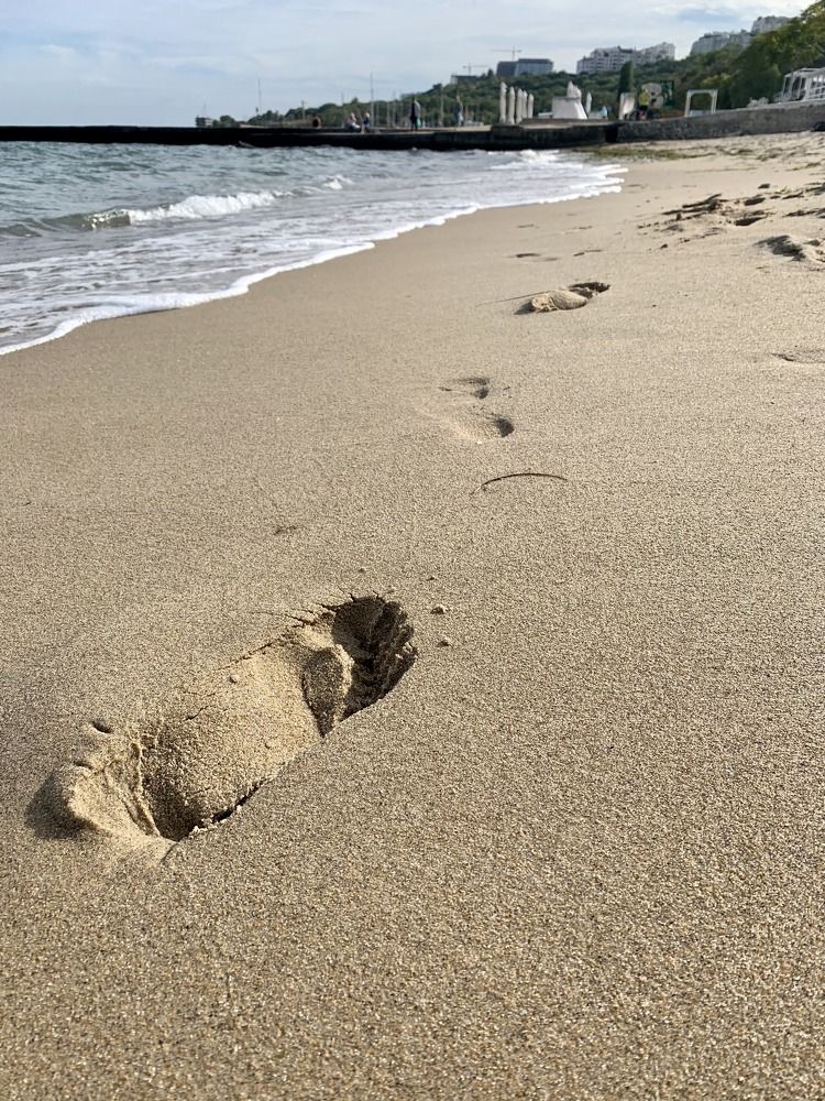 Photograph by Александр Чернега