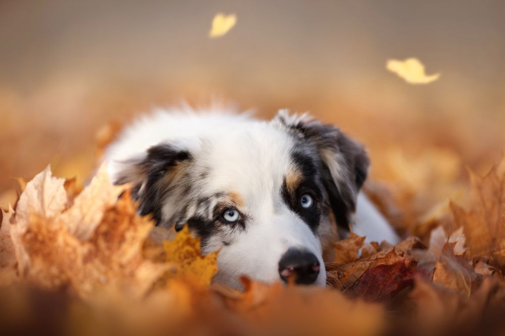 Photograph by Евгения Костусева