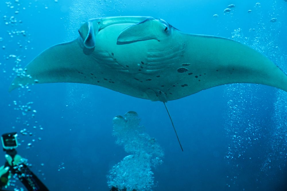 Photograph by Валерий Одинцов