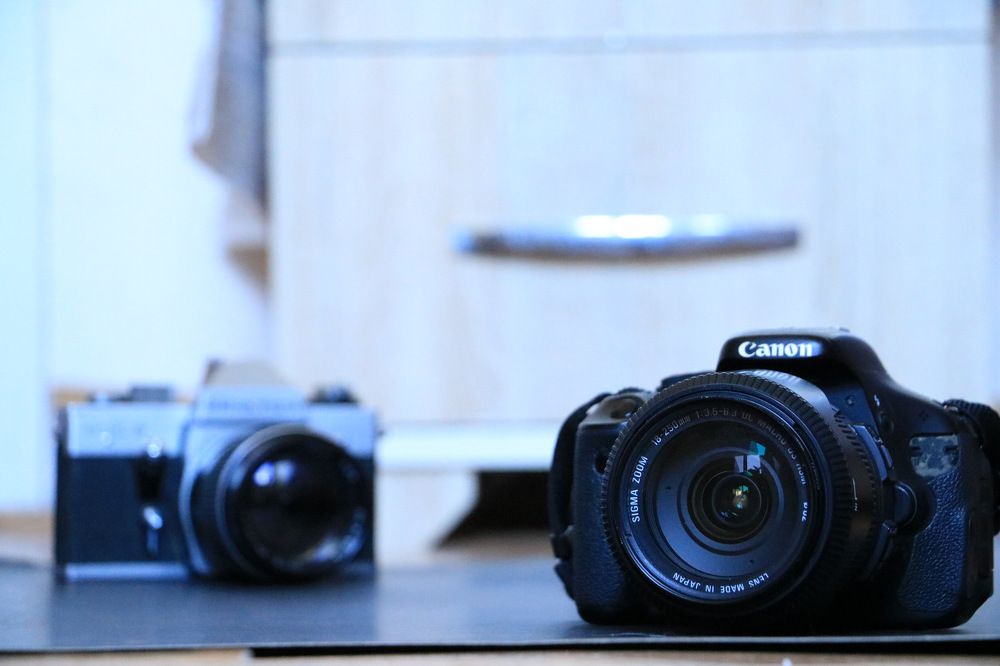 Photograph by Cengiz Yalcin