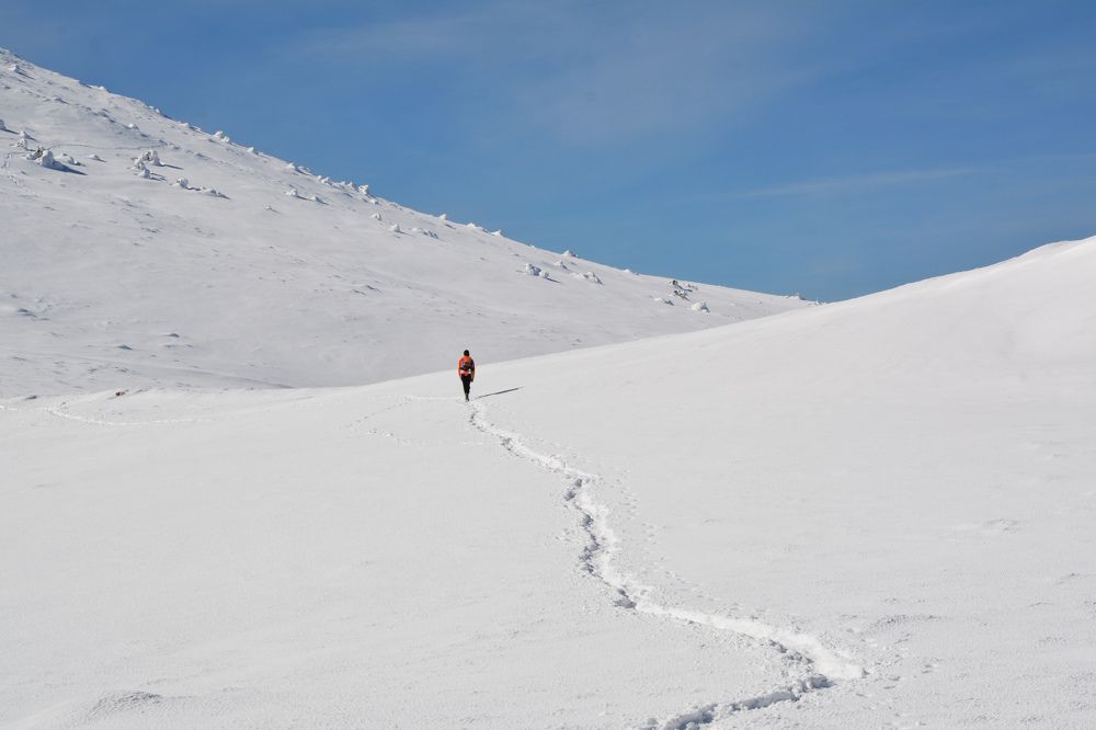 Photograph by Екатерина Крючкова