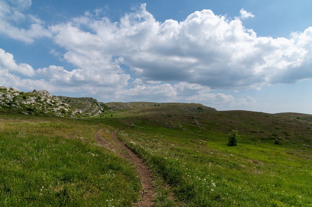 Photograph by Екатерина Крючкова