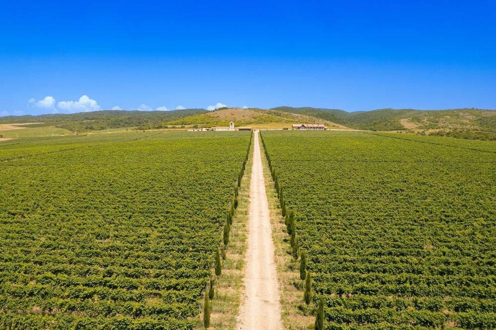 Photograph by Алексей Ширманов