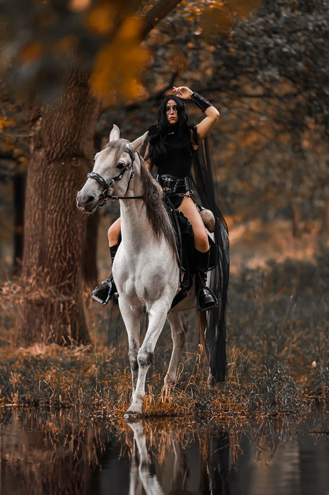 Фотография автора diana van hoof