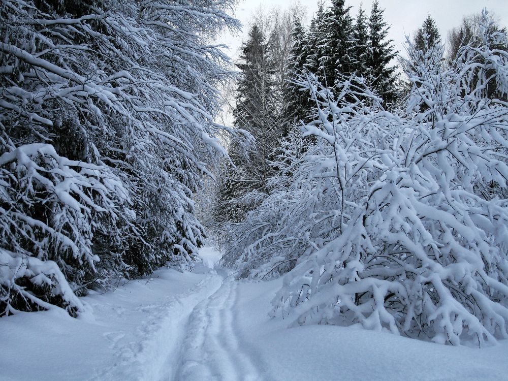 Photograph by Ирина Архипова