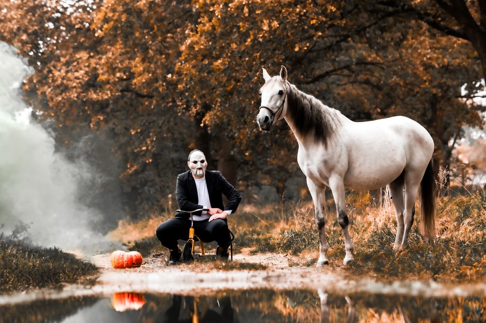 Фотография автора diana van hoof