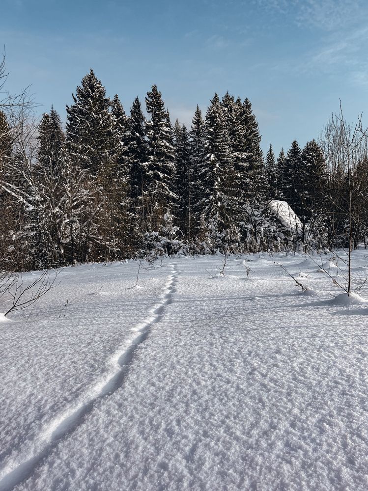 Фотография автора Юлия Осетрова