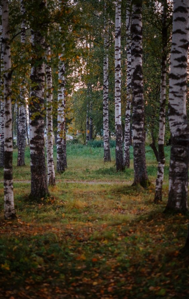 Photograph by Анна Каменева