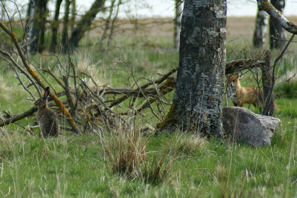 Фотография автора Jevgeni Filimonov