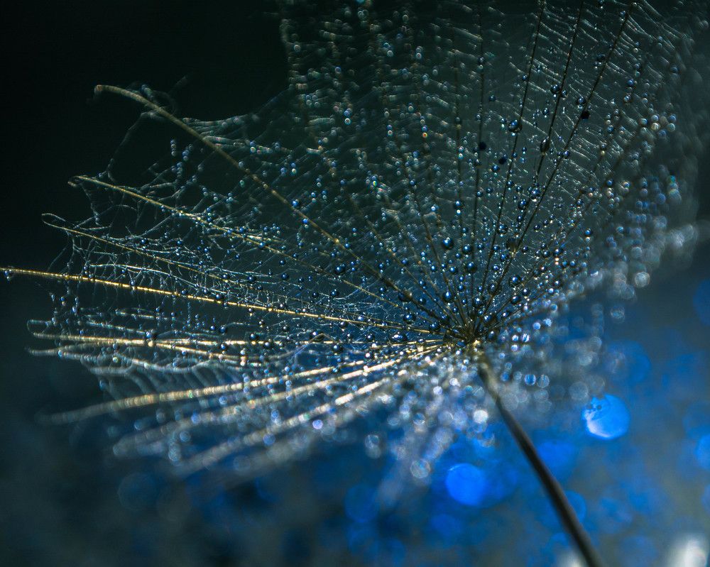 Photograph by Людмила Прибылова