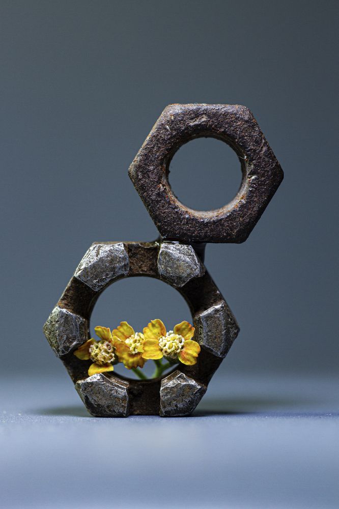 Photograph by Andrey Tarasyuk