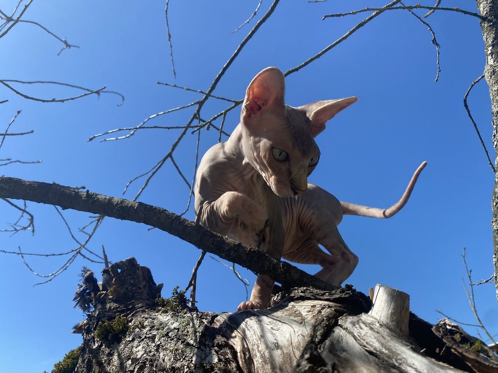 Photograph by Светлана Родионова