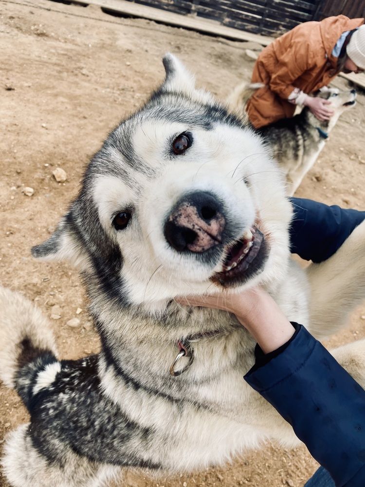 Photograph by Светлана Родионова