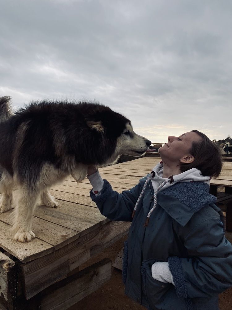 Photograph by Светлана Родионова