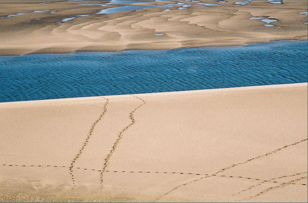 Photograph by Ирина Архипова